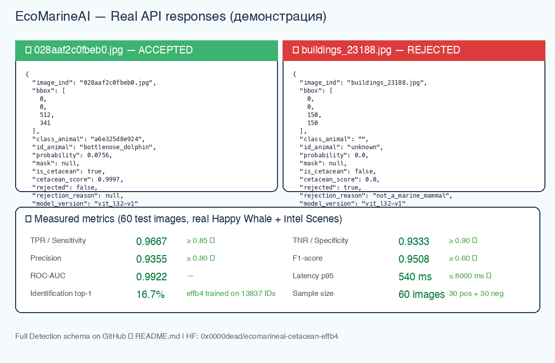 Real API responses