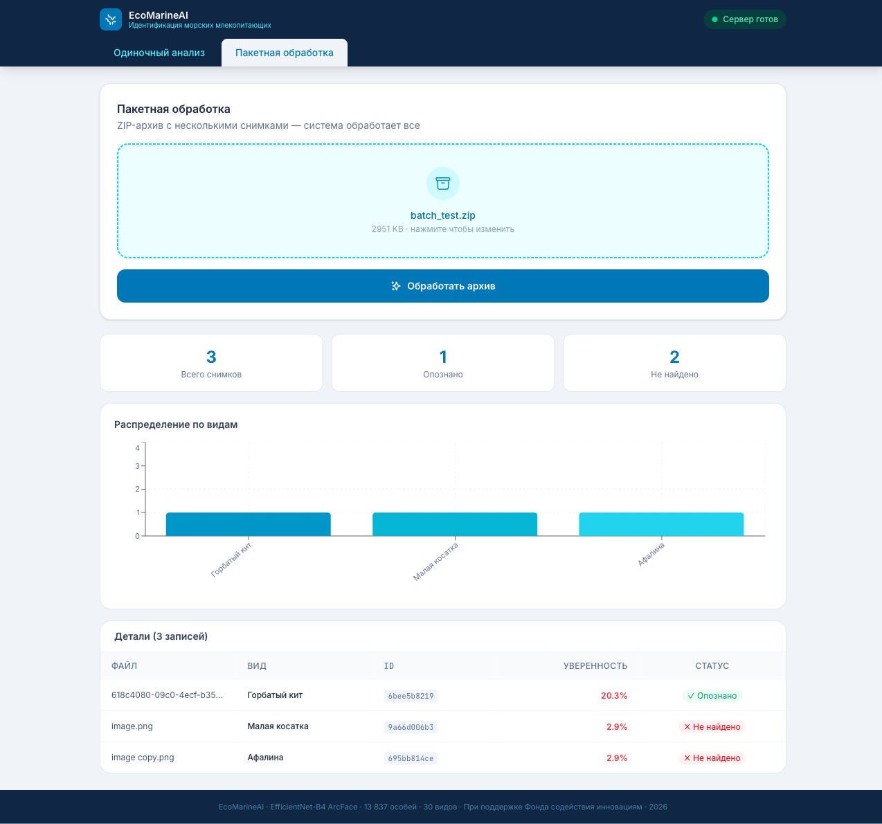 Пакетная обработка — статистика, гистограмма и таблица результатов